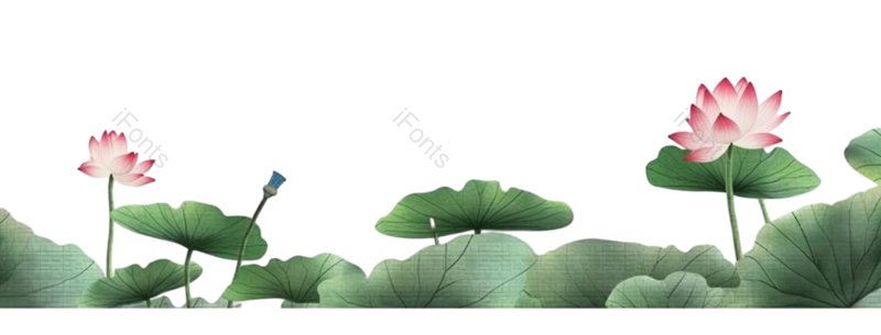 叶子图片,元素元素,清新PNG,荷花免抠素材